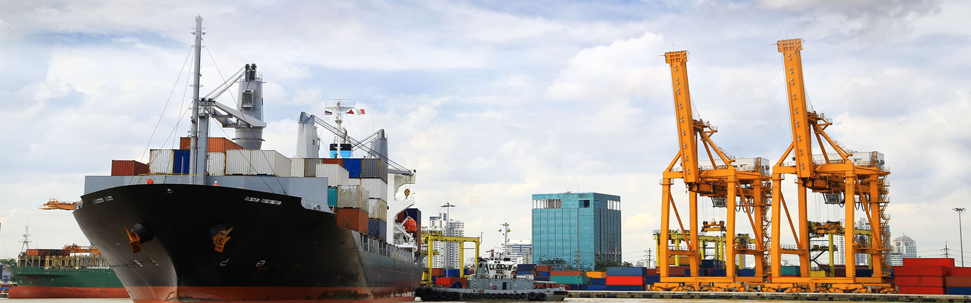 CRANE TO TRAIN, WE DO EVERYTHING